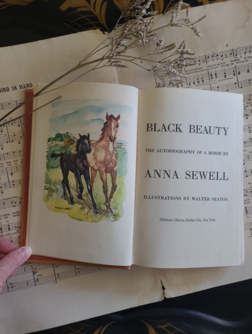 Black Beauty, Anna Sewell, Hardcover Children's Classic 1954